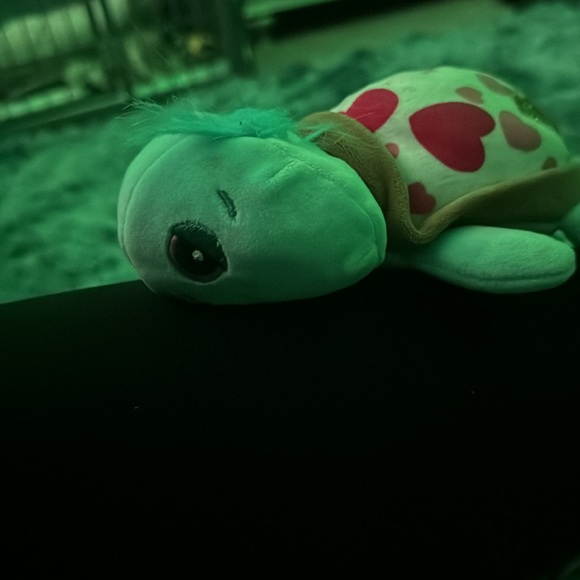 Turtle - Picture 7 of 8